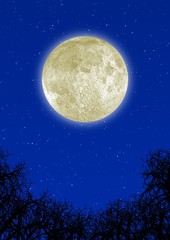 highly detailed moon © Olga Galushko