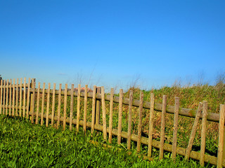 Fototapeta premium green ground
