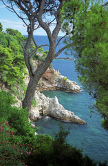 adriatic coast in dubrovnik