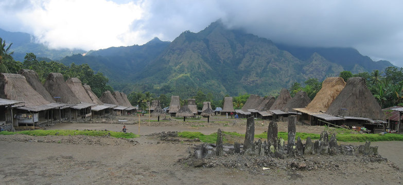 ngada village from the ngadhus and bhagas, bajawa, flores, indon