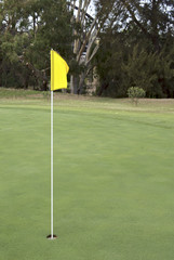 Obraz premium golf hole