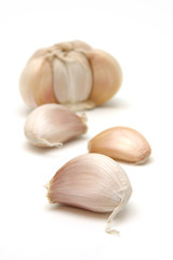 garlic close up