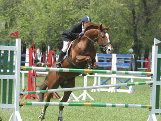 show jumping