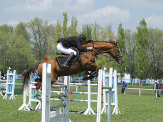 show jumping