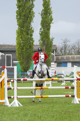 show jumping