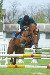 show jumping