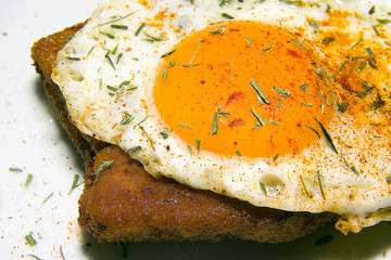 wiener schnitzel