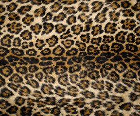 leopard print 2