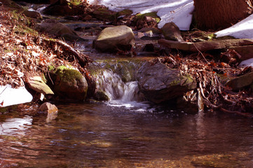 peaceful brook