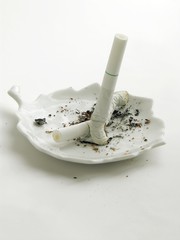 ash-tray and broken cigarette