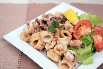 squid