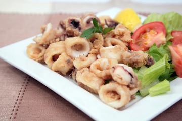 squid