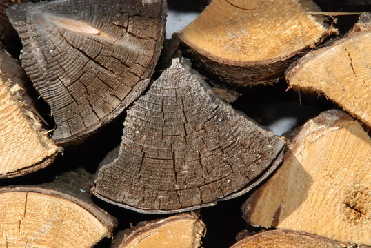 brennholz