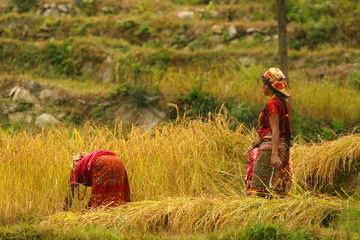 working women