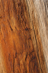 warm orange color of wood