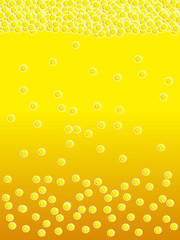 beer bubbles