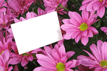 gift card and pink flowers