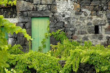 old cottage in ruins