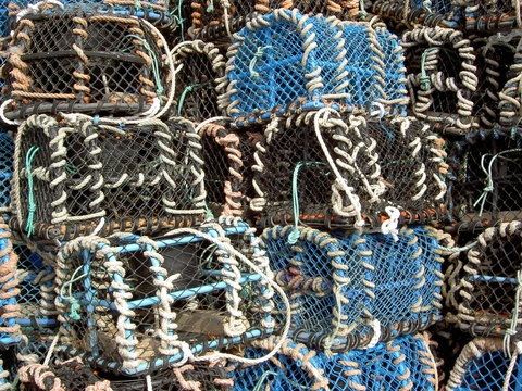 p&ecirc;cheur de casier