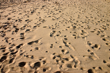 footprints in a sand dune.