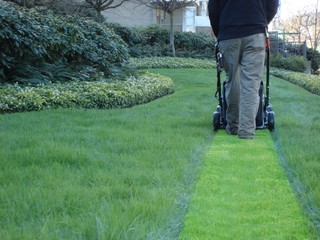 lawn mowing