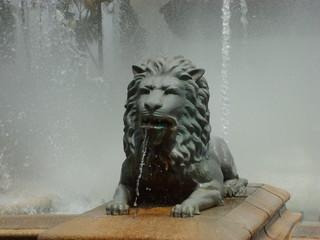 lion of the water