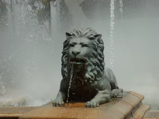 Photo sur Plexiglas Fontaine lion of the water