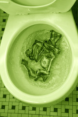 money down the toilet with green effect