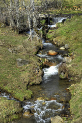 ruisseau 4