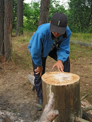 boy and tree