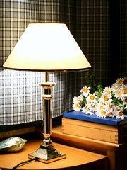 lampe und margeriten 2