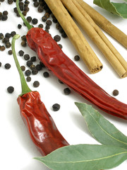 dried chilli, bay leaves,pepper and cinnamon5