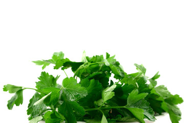 Fototapeta premium parsley
