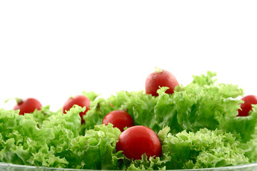 radish in lettuce