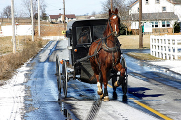amish