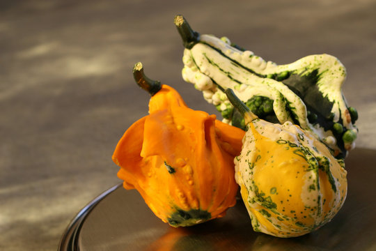 coloquintes