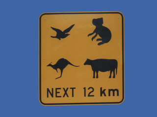 australian wildlife sign koala bear, kangaroo