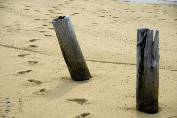 posts on a beach