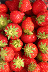 strawberries with green stalks close view.
