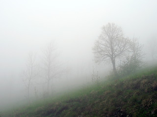 Fototapeta na wymiar mgła