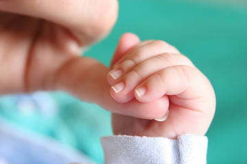 new born baby's hand - 2673710