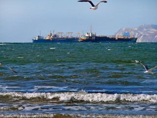 gulls, stormy sea and ships 1