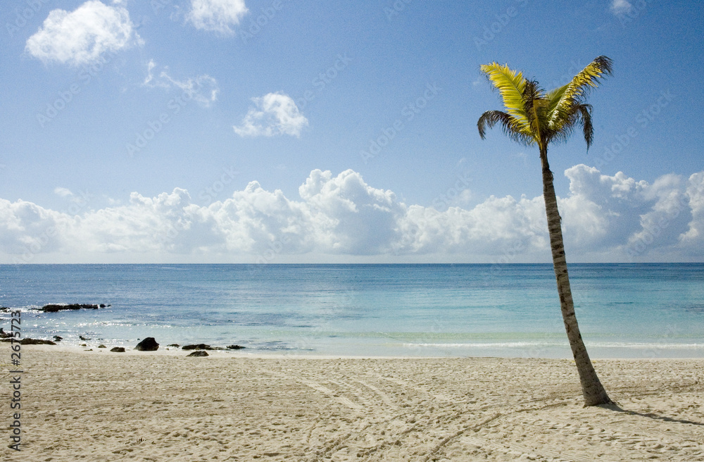 Wall mural barcelo la plage2