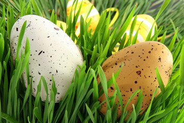 oeufs de pâques
