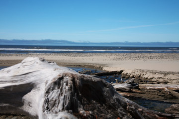 oregon coast beach