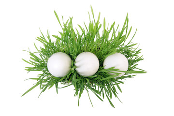 3 eggs in grass. top.