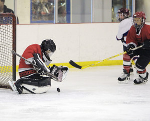 goalie blocked hockey shot