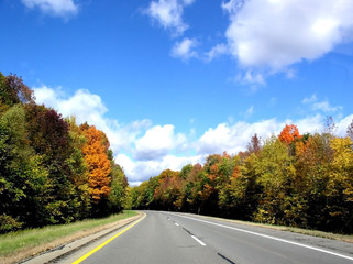 autumn road