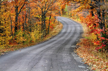 Fototapeta premium road through autumn