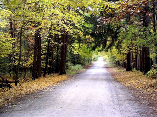 scenic drive